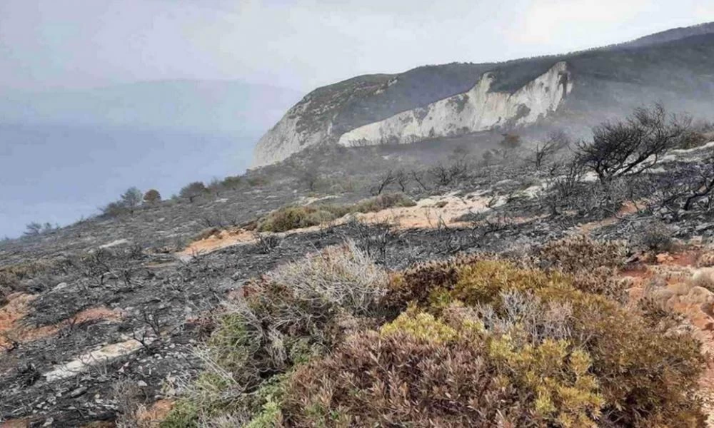 Καταστροφή και θλίψη: 950.000 στρέμματα καμένα σε όλη την Ελλάδα